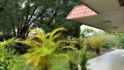 Bukit Timah Road (D10), Detached #498248671